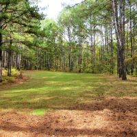 58-016-pioneer-lake-20-acre-lot images 3