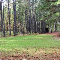 58-016-pioneer-lake-20-acre-lot images 5