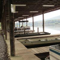 58-016-pioneer-lake-20-acre-lot images 6