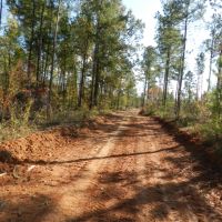 Timber Investment &nbsp; Hunting images 4