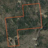 88 acres Adirondack Hunting Land Waverly NY images 6