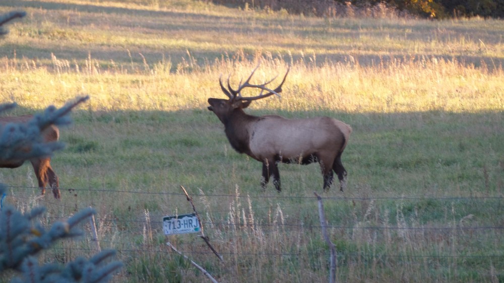 Windsong Ranch - Gardner  CO featured image
