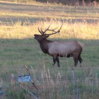 Windsong Ranch - Gardner  CO