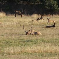 Windsong Ranch - Gardner  CO images 2