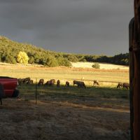 Windsong Ranch - Gardner  CO images 6