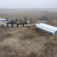 Wiggins Horse Property images 4