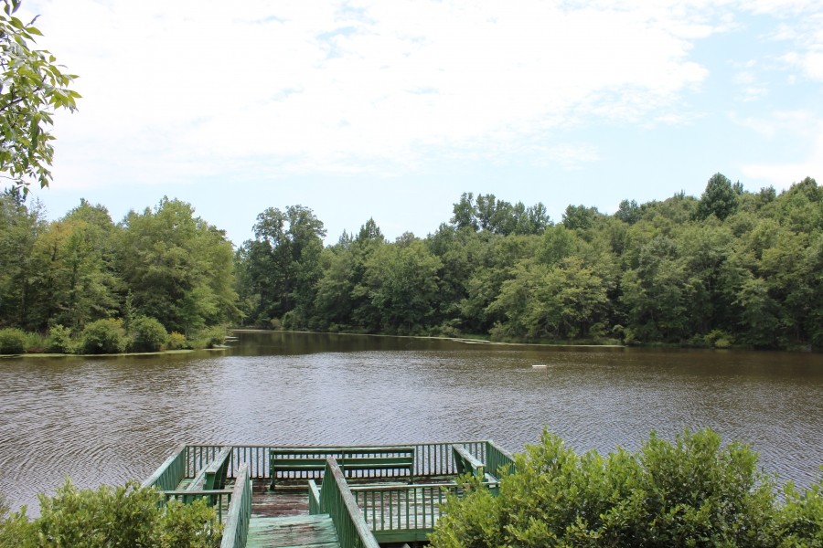 12 Acre Lake featured image