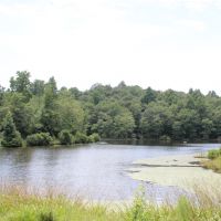 12 Acre Lake images 3