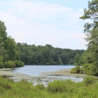 12 Acre Lake images 4