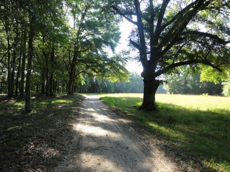 Riverfront Recreational Land For Sale in Georgetown  MS featured image