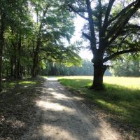 Riverfront Recreational Land For Sale in Georgetown  MS