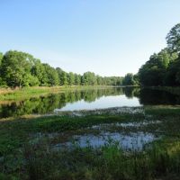 Riverfront Recreational Land For Sale in Georgetown  MS images 2