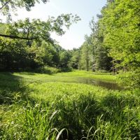Riverfront Recreational Land For Sale in Georgetown  MS images 4