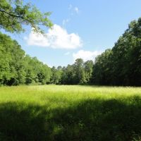 Riverfront Recreational Land For Sale in Georgetown  MS images 6