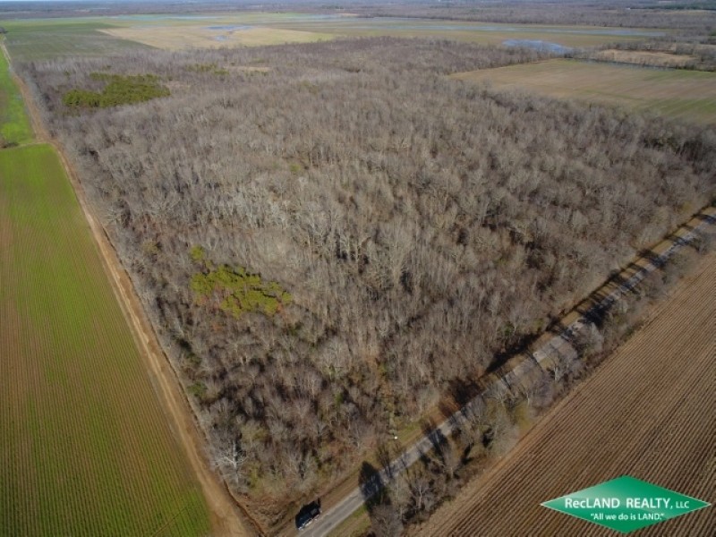 40 ac - Hunting Tract with Great Access featured image