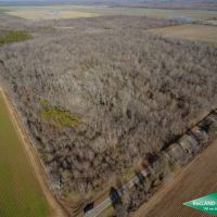 40 ac - Hunting Tract with Great Access