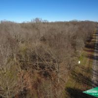 40 ac - Hunting Tract with Great Access images 2