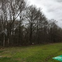 40 ac - Hunting Tract with Great Access images 5