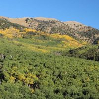 Singing River Ranch images 6
