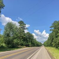 304 Acres &nbsp; Hwy 190 &nbsp; 285003