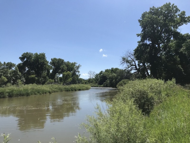 Ouellette Ranch featured image