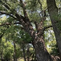 Ouellette Ranch images 4