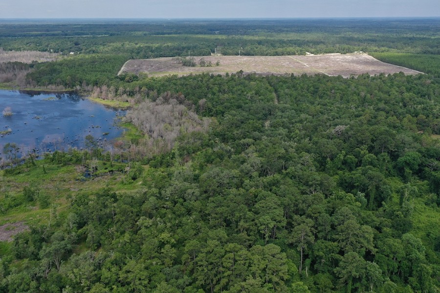 Dunn &nbsp;  &nbsp;   s Creek Hunting Land featured image