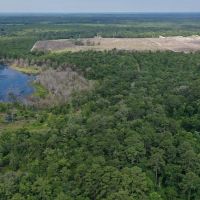 Dunn &nbsp;  &nbsp;   s Creek Hunting Land