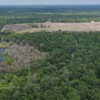 Dunn &nbsp;  &nbsp;   s Creek Hunting Land images 2