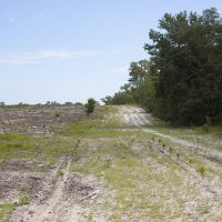 Dunn &nbsp;  &nbsp;   s Creek Hunting Land images 4