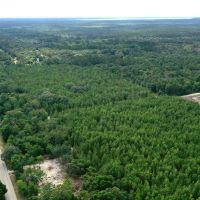 Dunn &nbsp;  &nbsp;   s Creek Hunting Land images 6