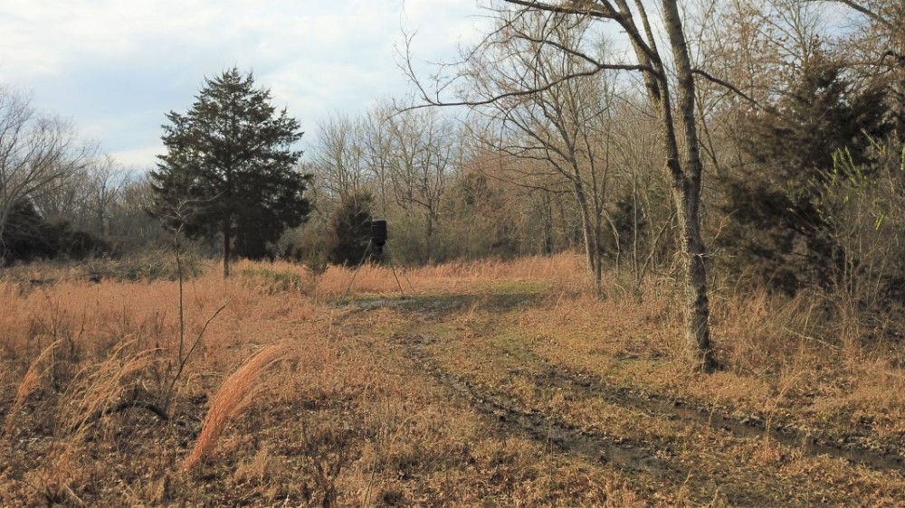30 &nbsp; - Acres - S. 4210 Road Claremore  OK 74017 featured image