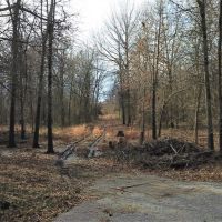 30 &nbsp; - Acres - S. 4210 Road Claremore  OK 74017 images 3