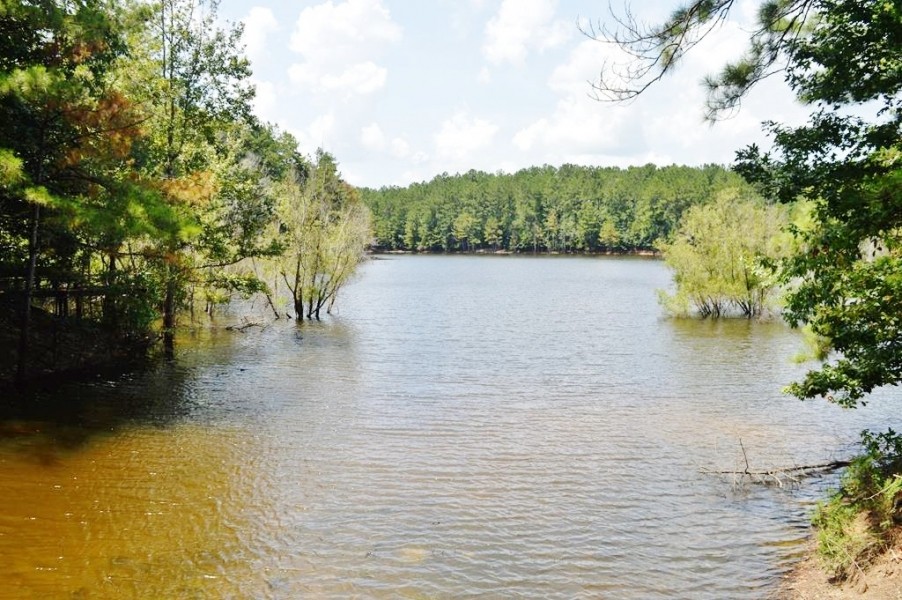 Lake Front Home Hunting Property For Sale Pearl River County featured image