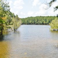 Lake Front Home Hunting Property For Sale Pearl River County