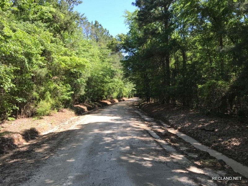 36 ac - Timberland &nbsp; Hunting Tract featured image