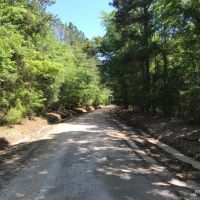 36 ac - Timberland &nbsp; Hunting Tract
