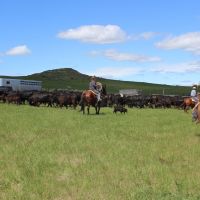 Otter Creek Ranch