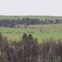 Otter Creek Ranch images 2