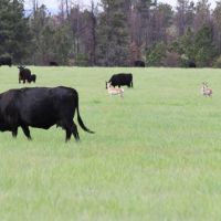 Otter Creek Ranch images 3