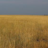 Otter Creek Ranch images 6