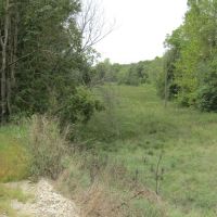 Adair Hunting &nbsp; Timber 900-Rb images 3