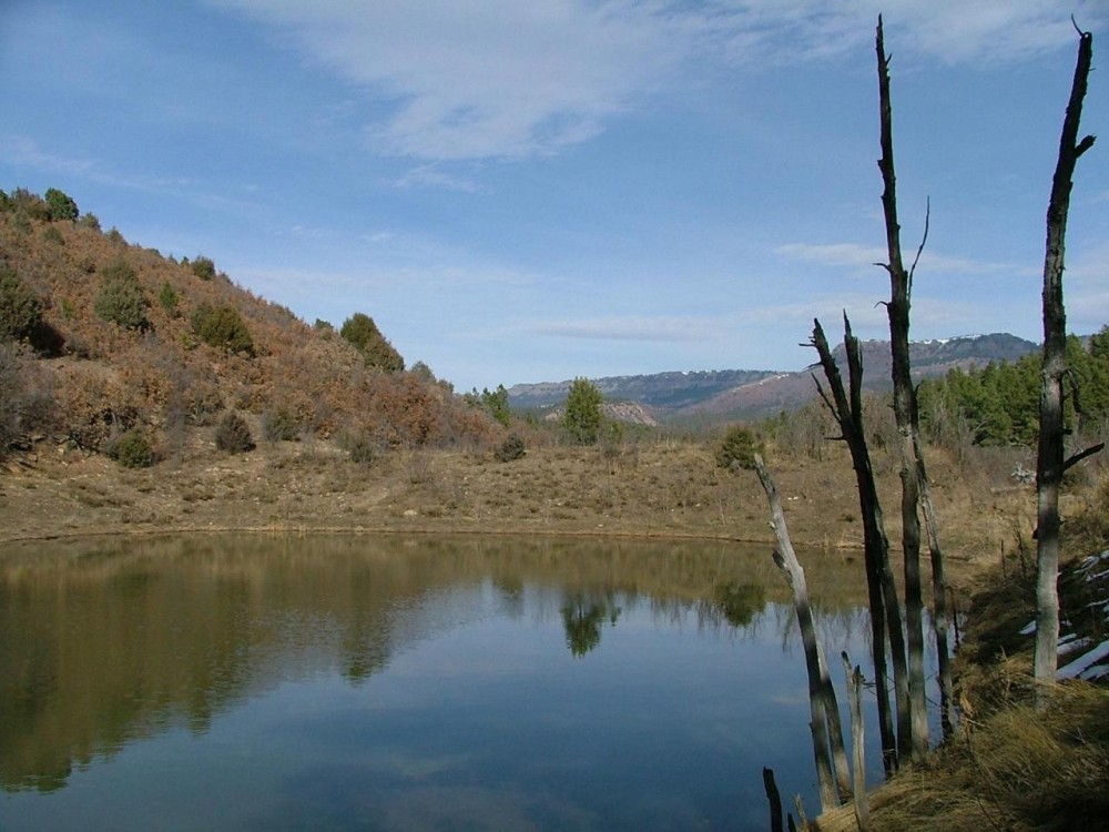 F41 Santa Fe Trail Ranch featured image
