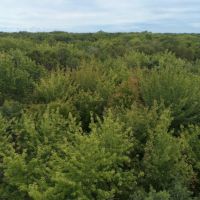 Priced to Sell Hunting Land in Juneau County  WI