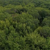 Priced to Sell Hunting Land in Juneau County  WI images 2