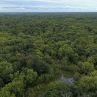 Priced to Sell Hunting Land in Juneau County  WI images 3