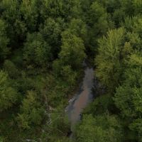 Priced to Sell Hunting Land in Juneau County  WI images 4