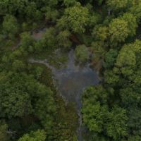 Priced to Sell Hunting Land in Juneau County  WI images 5