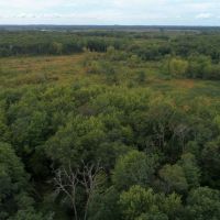 Priced to Sell Hunting Land in Juneau County  WI images 6