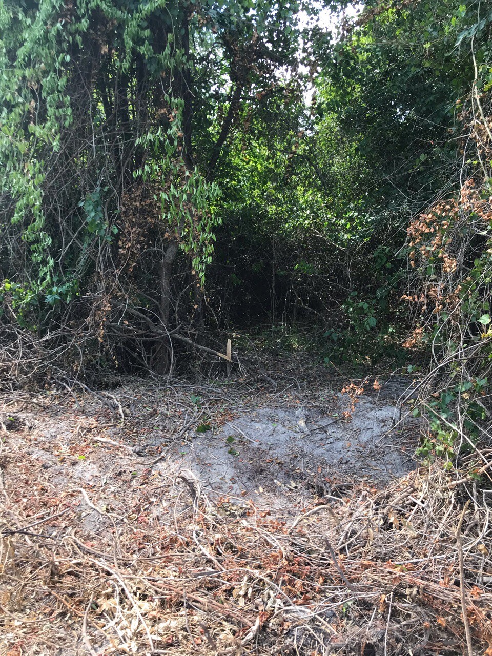 10-029-bedgood-tract featured image
